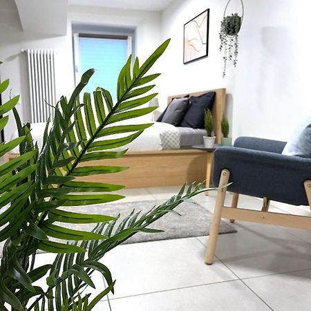 The Hidden Studio; Comfy & Close To The Lake Lugano Exterior photo